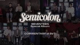 seventeen在线观看,在线观看解锁青春魅力  第3张
