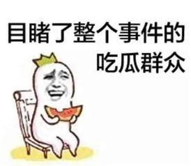 豪门夫人吃瓜沙雕动画免费观看,沙雕动画免费畅享，笑料横生！