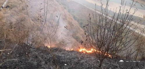 狮子山爆料视频最新版本,独家内幕大曝光!  第2张 狮子山爆料视频最新版本,独家内幕大曝光!  第2张