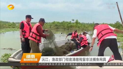 沅江新闻爆料事件,真相与舆论的交织  第3张