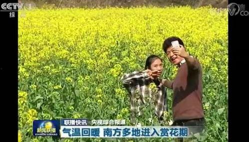 婺源小三最新爆料新闻,最新爆料揭露惊人内幕  第3张